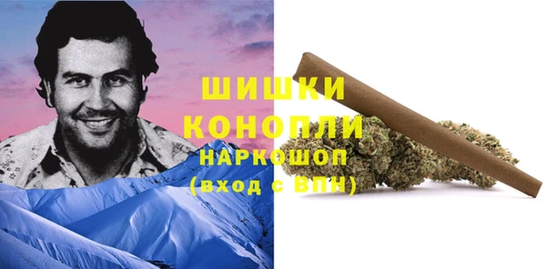 дурь Осинники