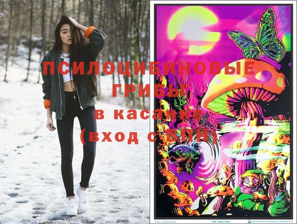 метадон Инсар