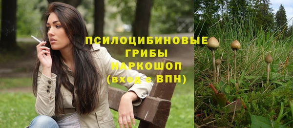прущая мука Остров