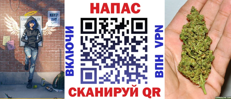 OMG как зайти  Пошехонье  Каннабис гибрид  как найти  